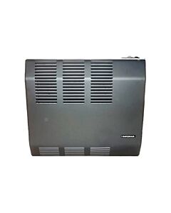 CALEFACTOR INPOPAR 5000 TB GAS NATURAL